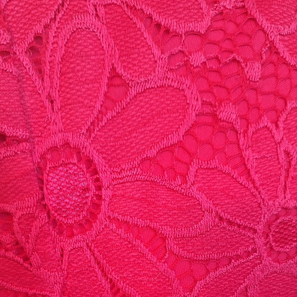 Tiana B got pink daisy lace sleeveless dress large NWT *AH - Picture 5 of 8